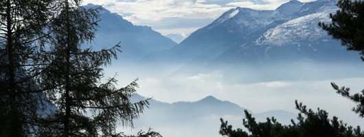 云呼电话轰炸机网页版