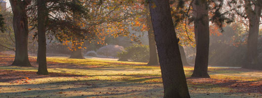 安卓短信轰炸机
